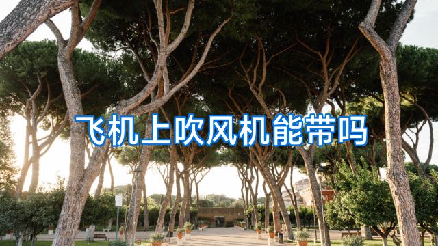 飞机上吹风机能带吗