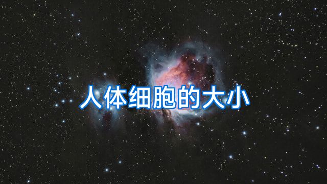 人体细胞的大小