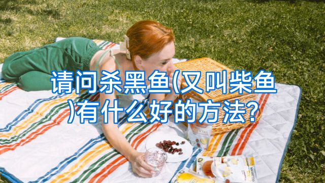请问杀黑鱼(又叫柴鱼)有什么好的方法?