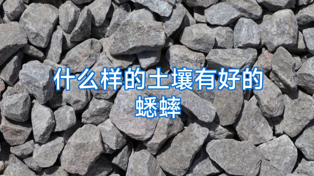什么样的土壤有好的蟋蟀