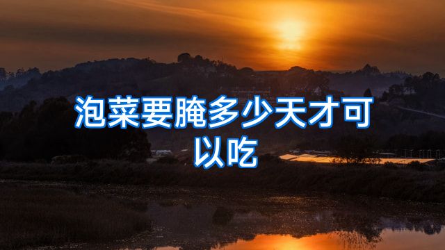 泡菜要腌多少天才可以吃