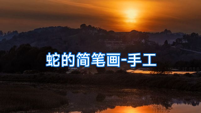 蛇的简笔画-手工
