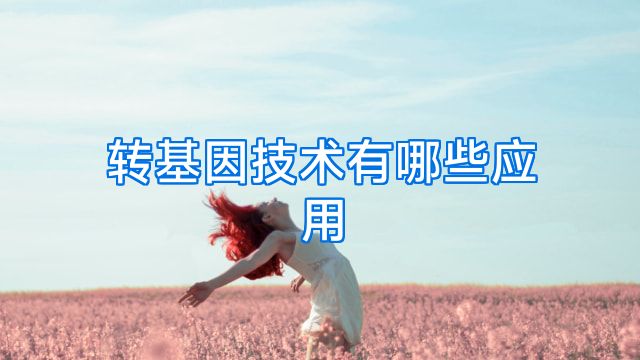 转基因技术有哪些应用