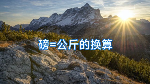 磅=公斤的换算