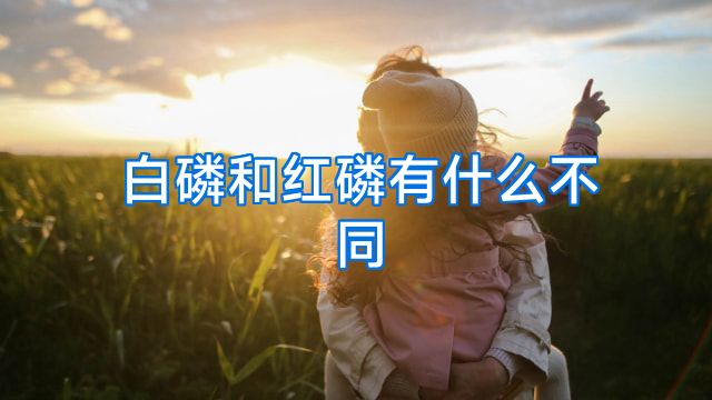 白磷和红磷有什么不同