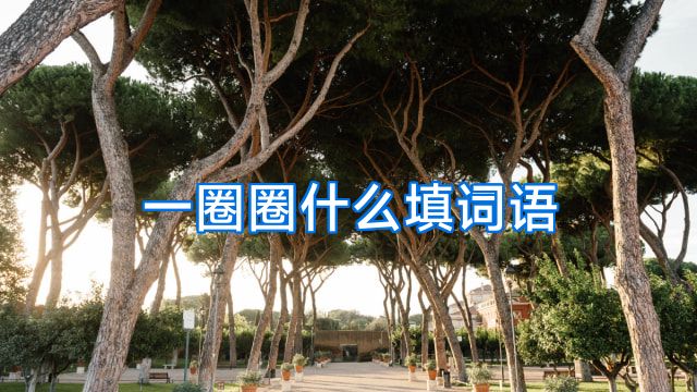 一圈圈什么填词语