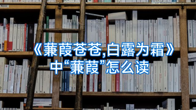 《蒹葭苍苍,白露为霜》中“蒹葭”怎么读
