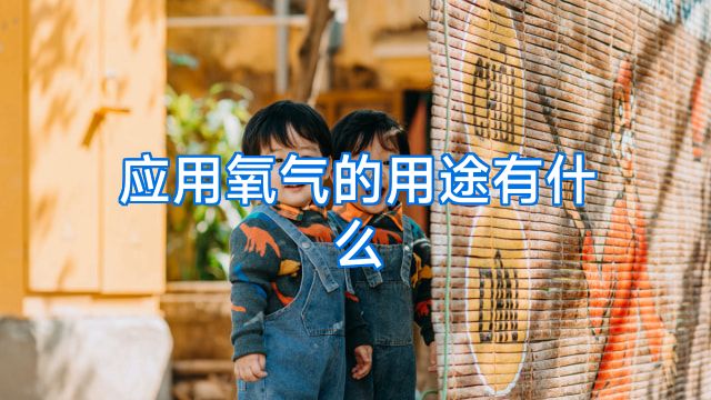 应用氧气的用途有什么
