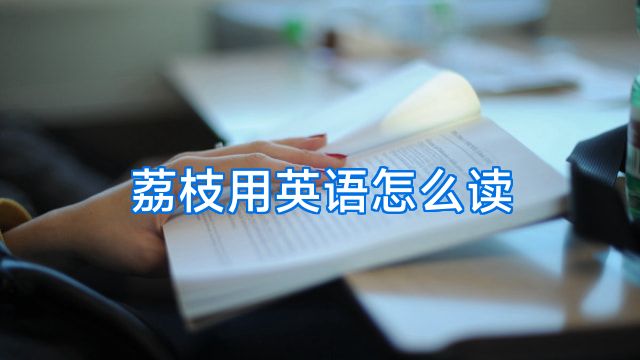 荔枝用英语怎么读