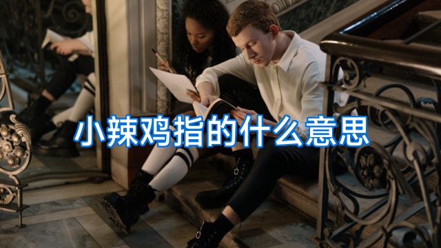 小辣鸡指的什么意思