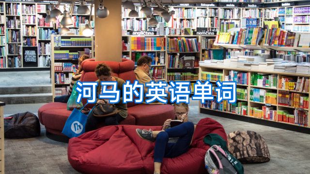 河马的英语单词
