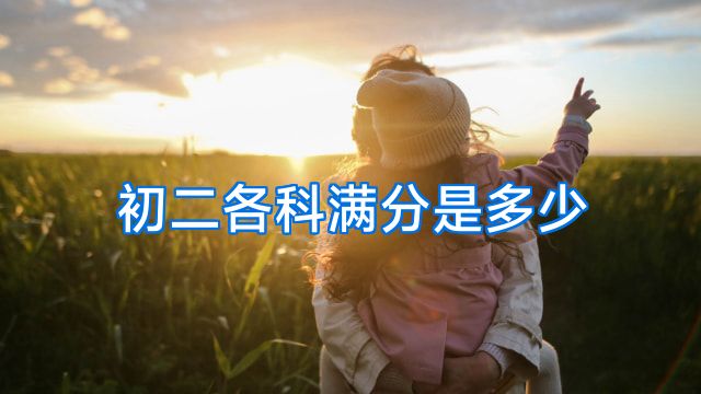 初二各科满分是多少