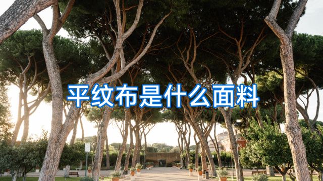 平纹布是什么面料