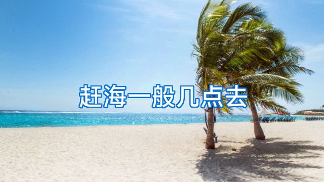 赶海一般几点去