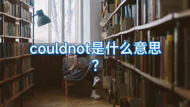 couldnot是什么意思?