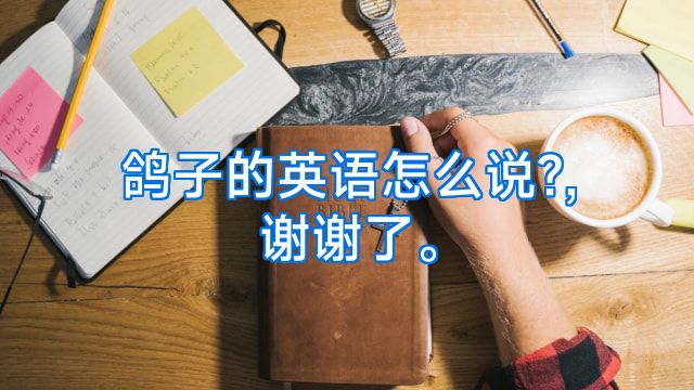鸽子的英语怎么说?,谢谢了。