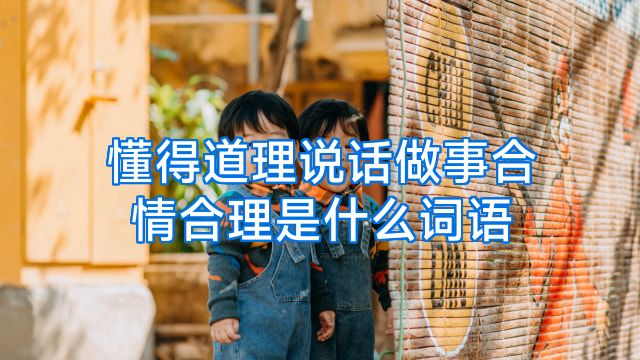 懂得道理说话做事合情合理是什么词语