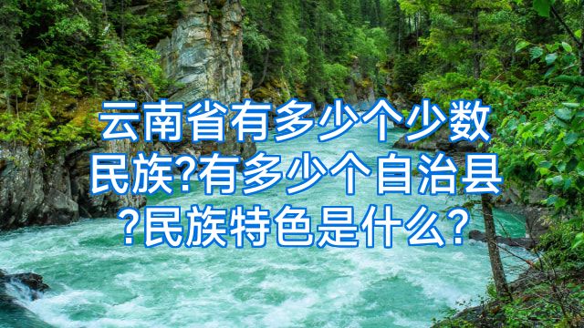 云南省有多少个少数民族?有多少个自治县?民族特色是什么?