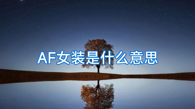 AF女装是什么意思