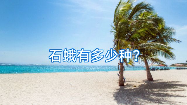 石蛾有多少种?