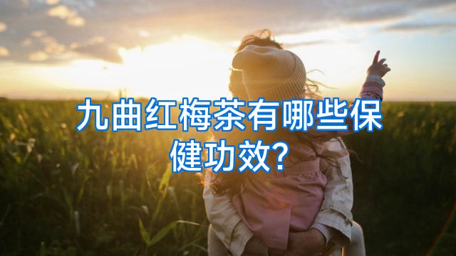 九曲红梅茶有哪些保健功效?
