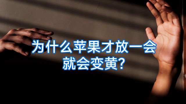为什么苹果才放一会就会变黄?
