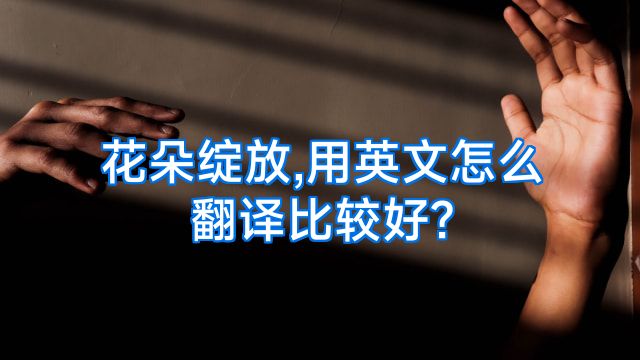 花朵绽放,用英文怎么翻译比较好?