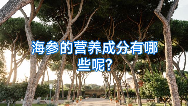 海参的营养成分有哪些呢?