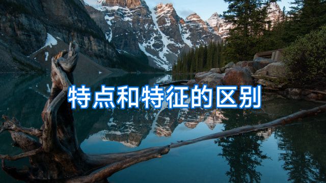 特点和特征的区别