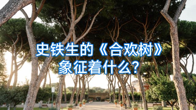 史铁生的《合欢树》象征着什么?