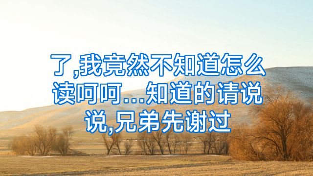 了,我竟然不知道怎么读呵呵…知道的请说说,兄弟先谢过
