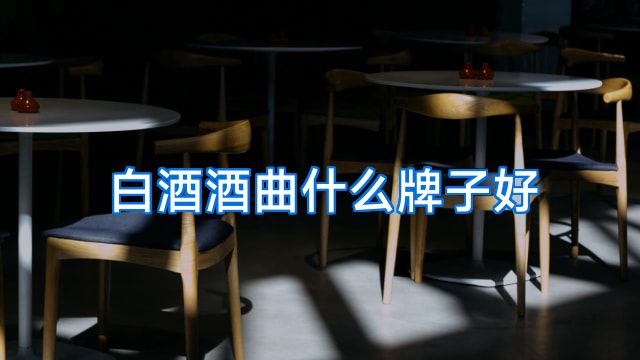 白酒酒曲什么牌子好