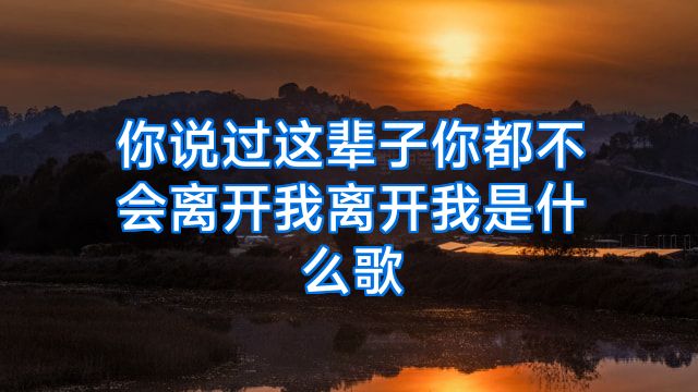 你说过这辈子你都不会离开我离开我是什么歌