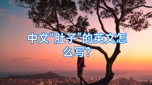 中文“肚子”的英文怎么写?