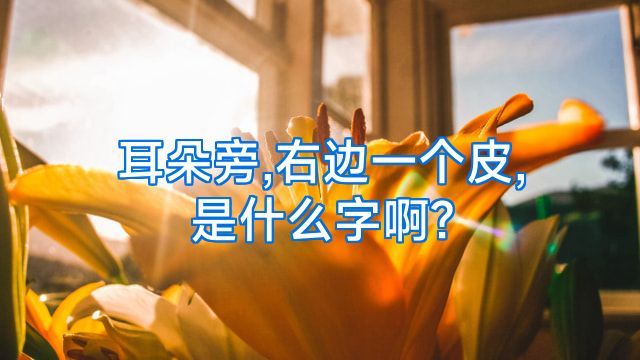 耳朵旁,右边一个皮,是什么字啊?