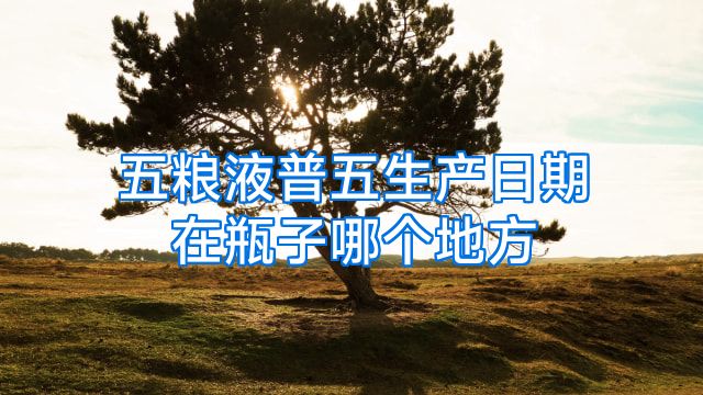 五粮液普五生产日期在瓶子哪个地方