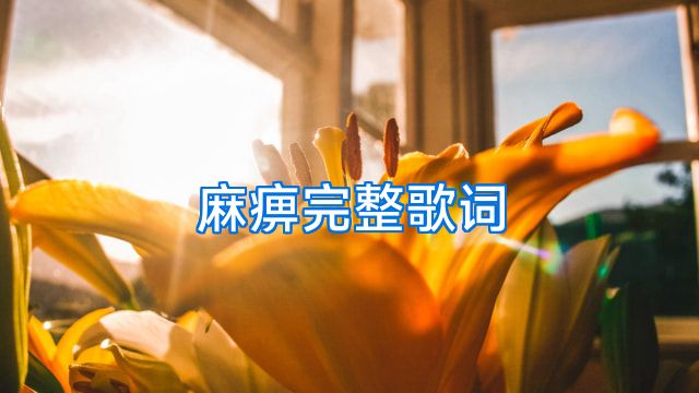 麻痹完整歌词