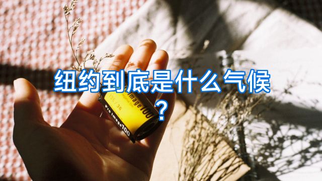 纽约到底是什么气候?