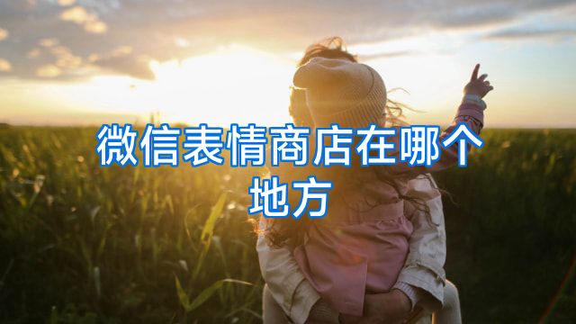 微信表情商店在哪个地方