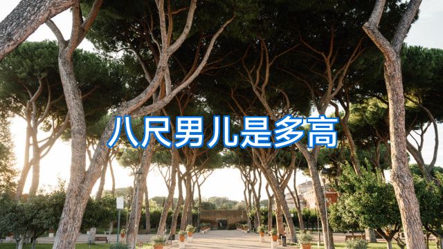 八尺男儿是多高