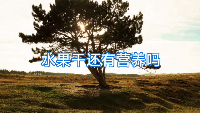 水果干还有营养吗