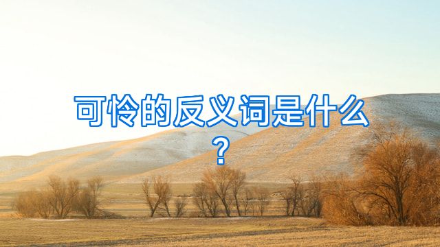 可怜的反义词是什么?