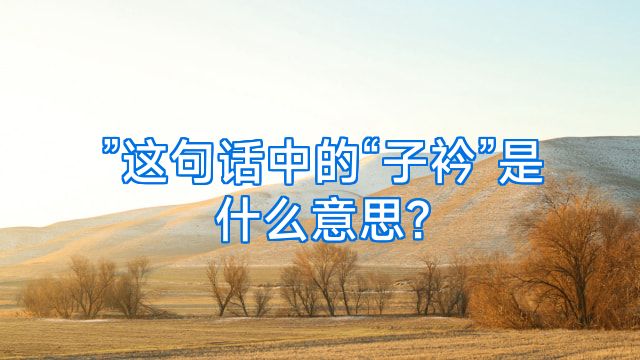 ”这句话中的“子衿”是什么意思?