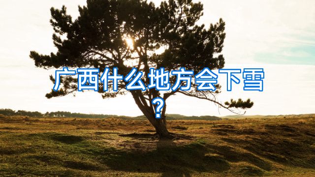 广西什么地方会下雪?