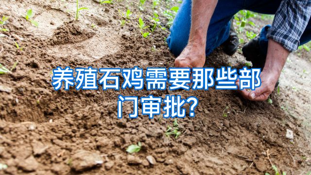 养殖石鸡需要那些部门审批?