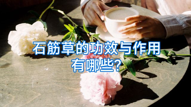 石筋草的功效与作用有哪些?