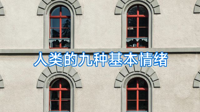人类的九种基本情绪