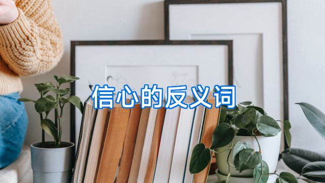信心的反义词
