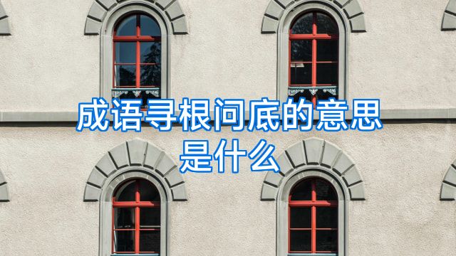 成语寻根问底的意思是什么