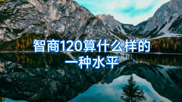 智商120算什么样的一种水平